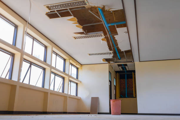  Pinconning, MI Water damage restoration Pros