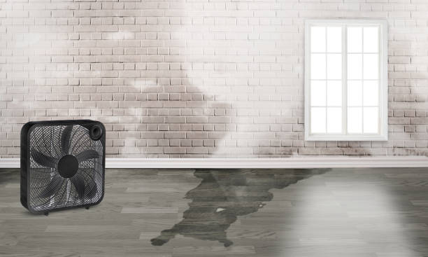 Best Flooded house restoration  in Pinconning, MI