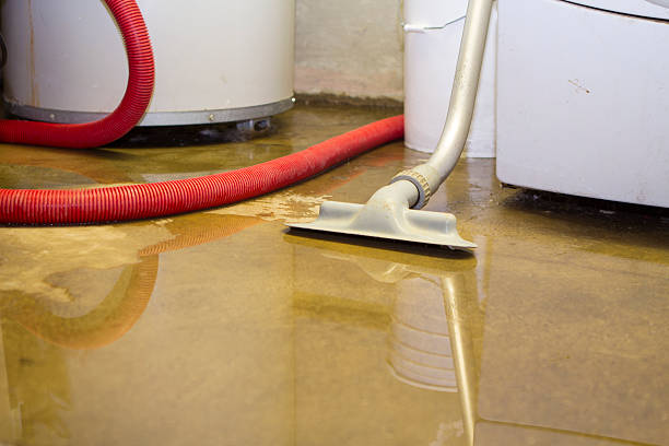 Best Commercial water damage restoration  in Pinconning, MI