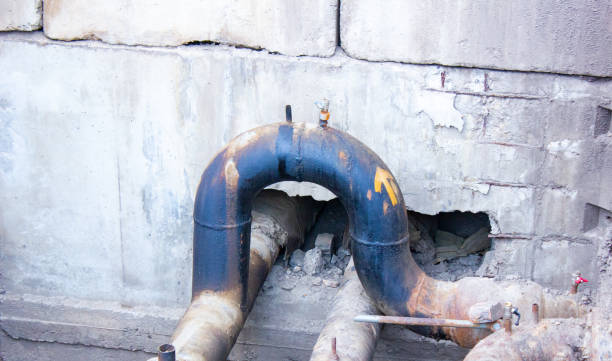 Best Carpet water damage restoration  in Pinconning, MI